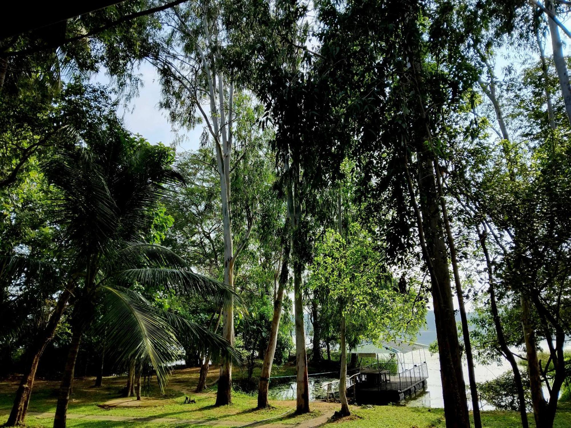 Nature'S Lake View Sigiriya 丹不拉 外观 照片