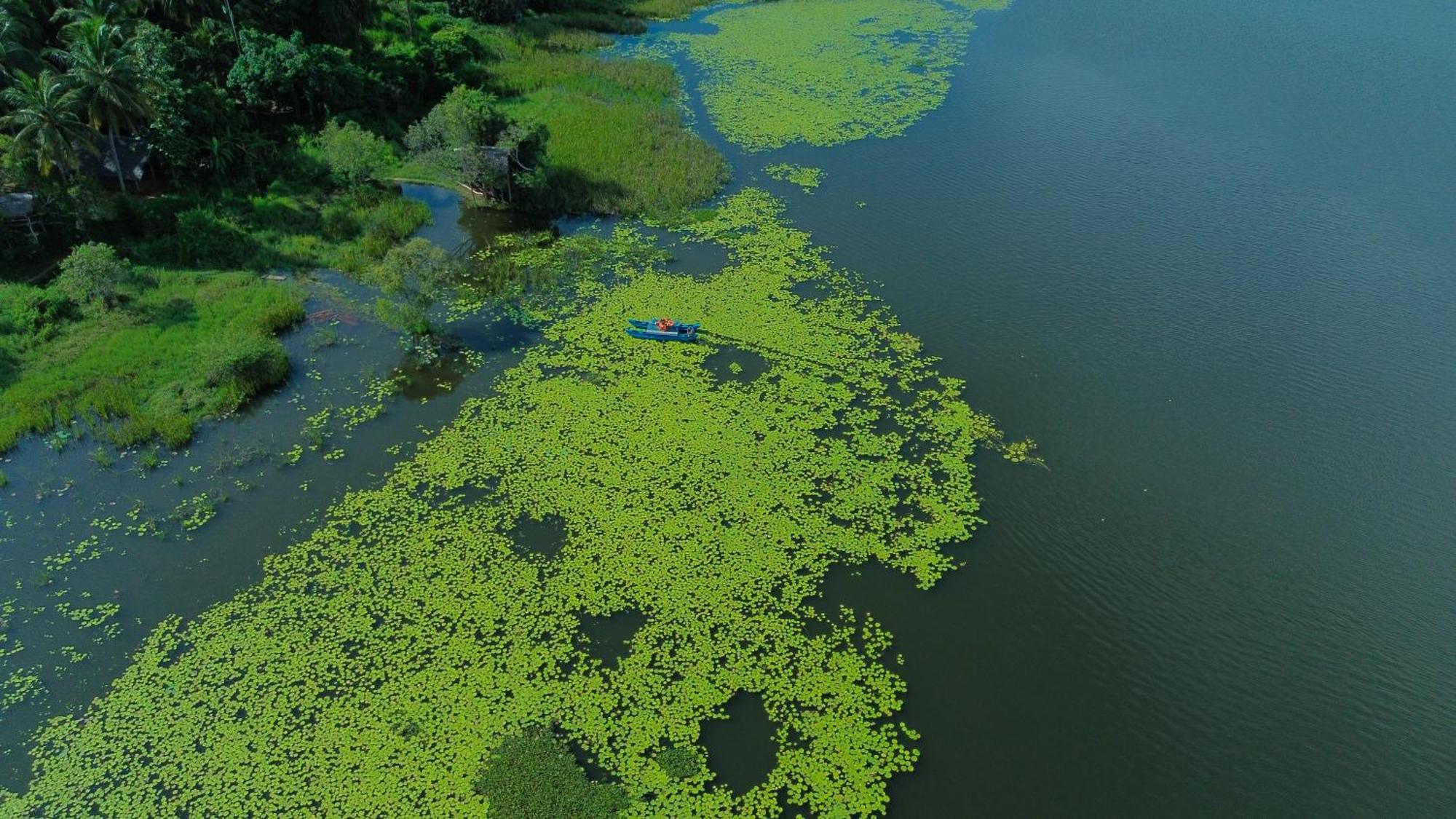 Nature'S Lake View Sigiriya 丹不拉 外观 照片