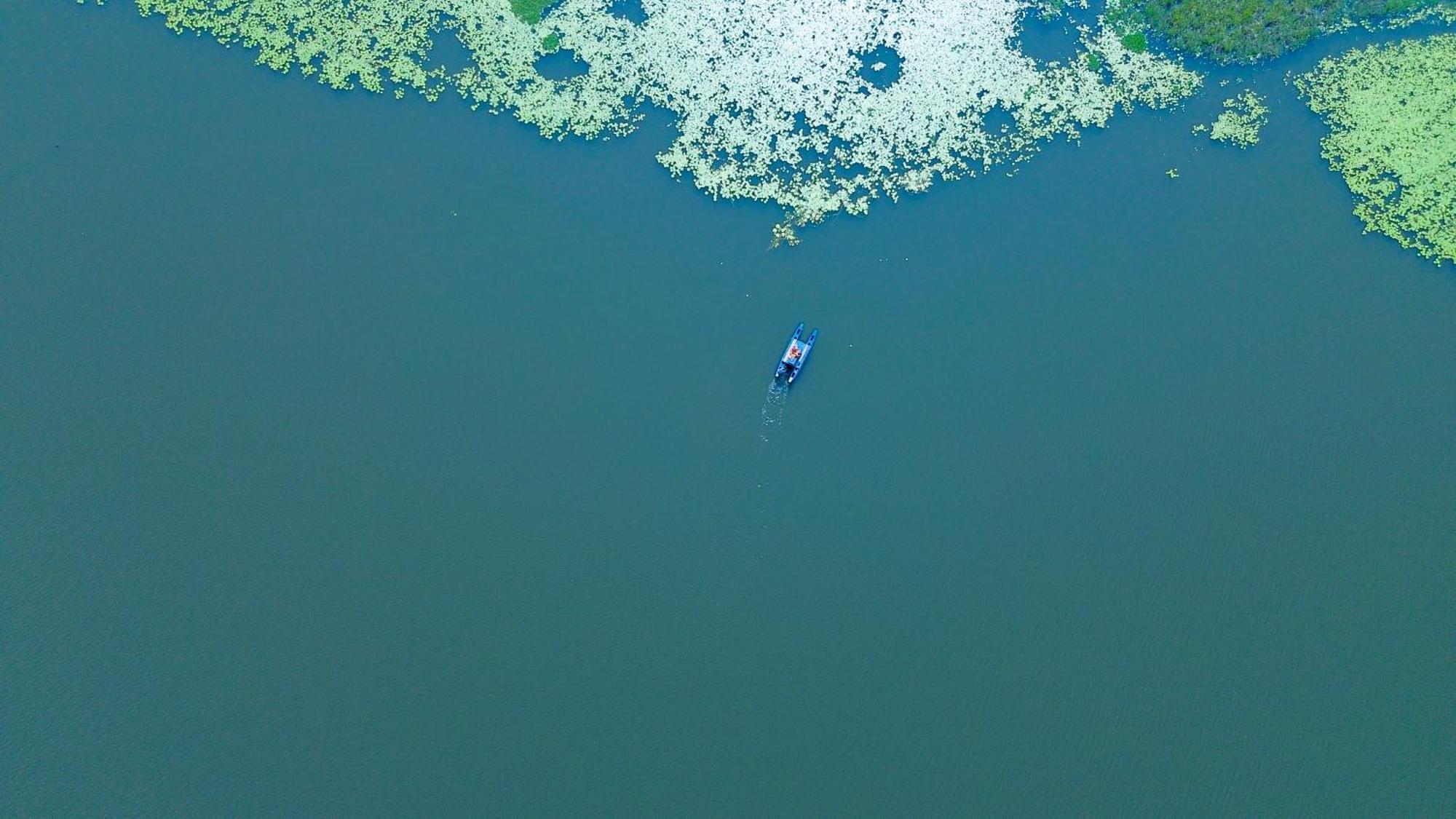 Nature'S Lake View Sigiriya 丹不拉 外观 照片
