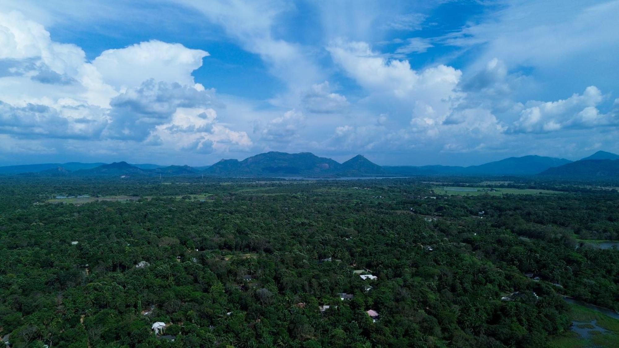 Nature'S Lake View Sigiriya 丹不拉 外观 照片