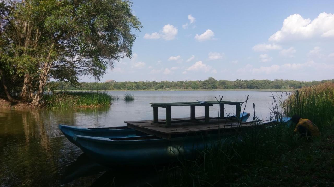 Nature'S Lake View Sigiriya 丹不拉 外观 照片