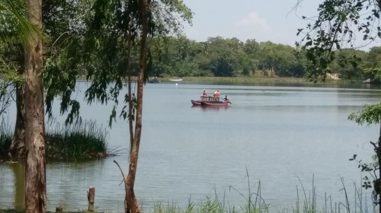 Nature'S Lake View Sigiriya 丹不拉 外观 照片