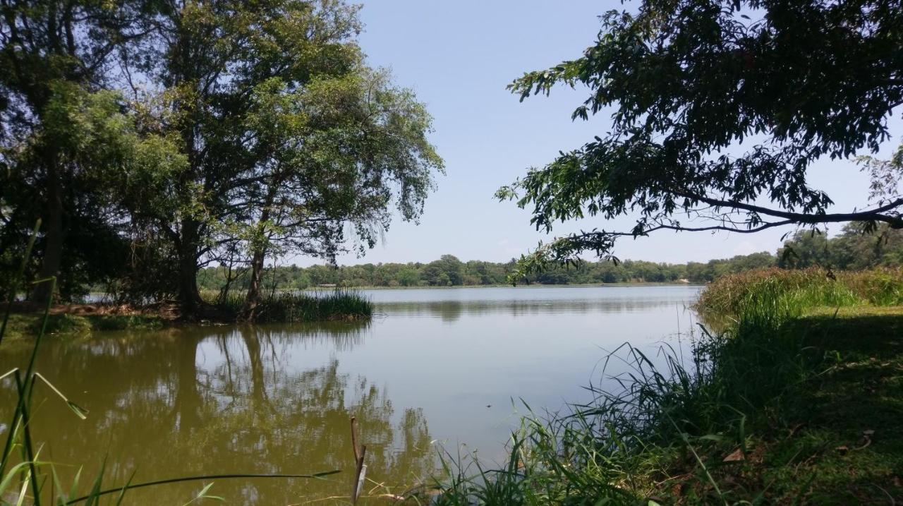 Nature'S Lake View Sigiriya 丹不拉 外观 照片