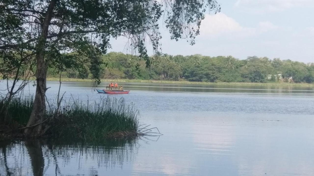 Nature'S Lake View Sigiriya 丹不拉 外观 照片