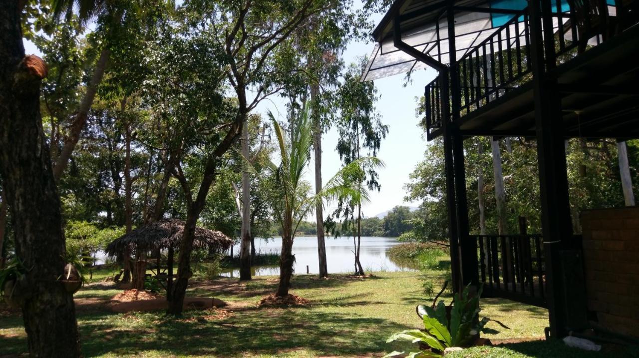 Nature'S Lake View Sigiriya 丹不拉 外观 照片