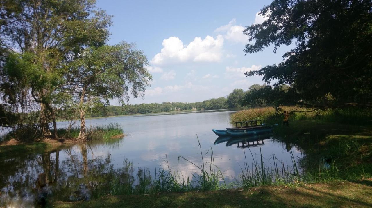 Nature'S Lake View Sigiriya 丹不拉 外观 照片