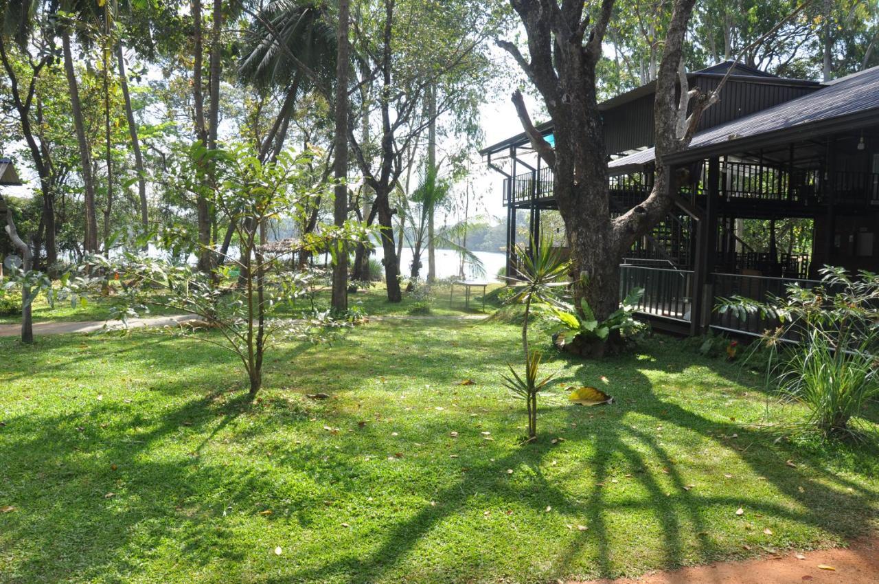 Nature'S Lake View Sigiriya 丹不拉 外观 照片